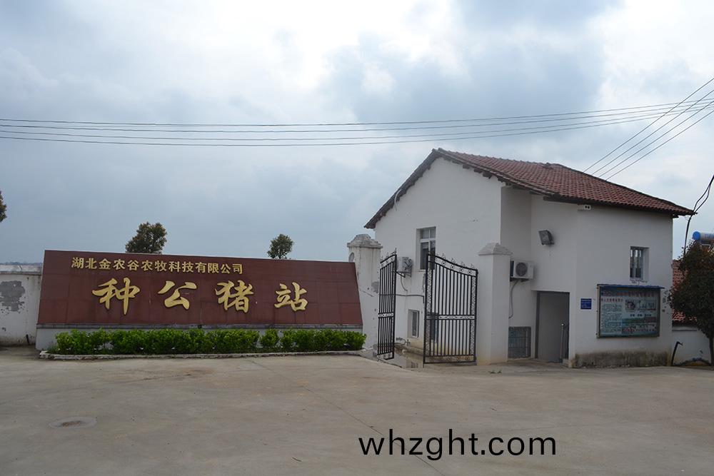 湖北(bei)省京山(shan)市生(sheng)豬(zhu)製(緐)種(zhong)基地(di)-種公豬站建(jian)設(shè)項(xiàng)(xiang)目環(huán)境(jing)影(ying)響評(píng)(ping)價(jià)第二次(ci)信息(xi)公(gong)示