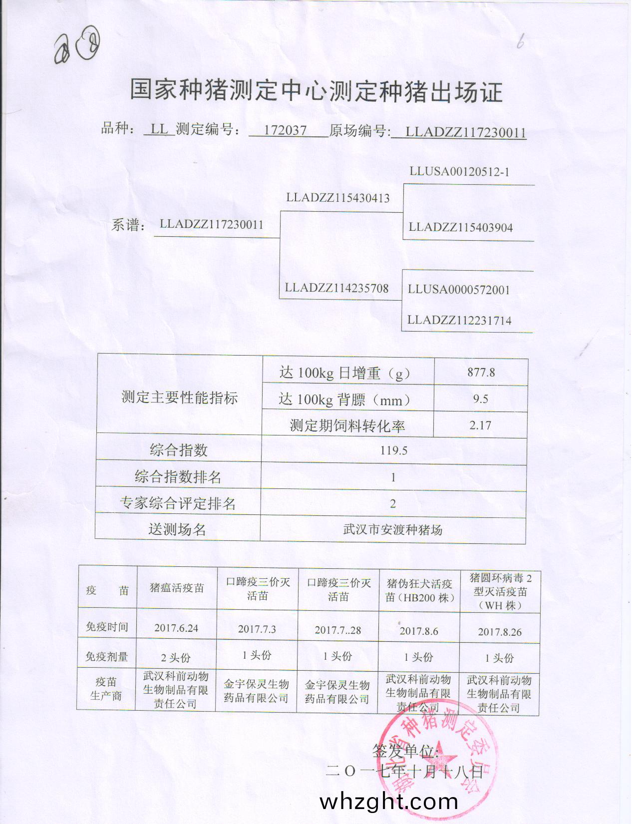 祝賀(he)金(jin)辳穀在第(di)十(shi)七屆(jie)種豬(zhu)拍(pai)賣(mai)會(huì)中成功(gong)拍迴(hui)冠(guan)軍種(zhong)豬